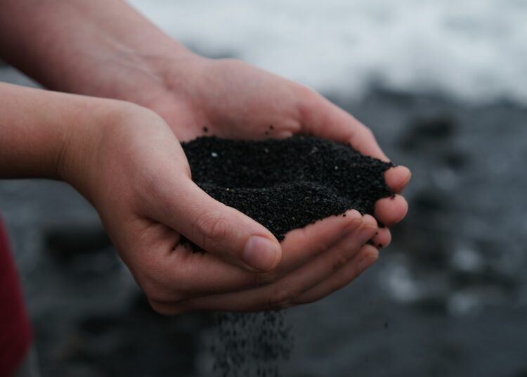 person holding black soil